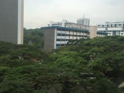 telok-blangah-crescent photo thumbnail #8